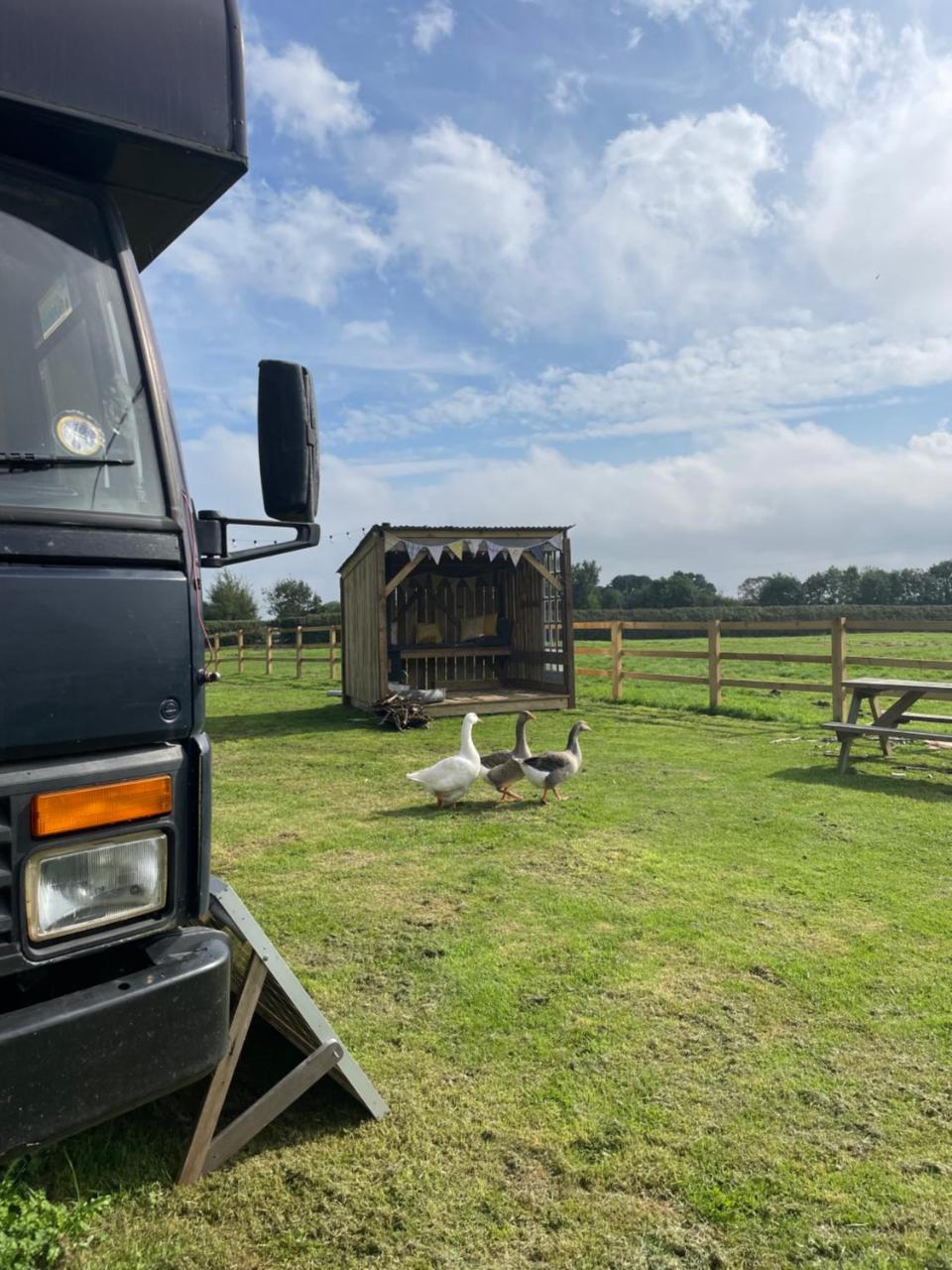 North Yorkshire Horse Box, York, Yorkshire