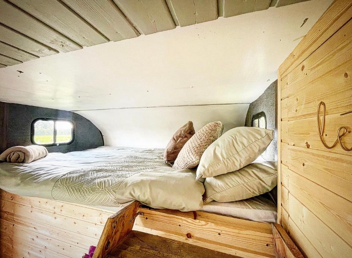 North Yorkshire Horse Box — photo 3