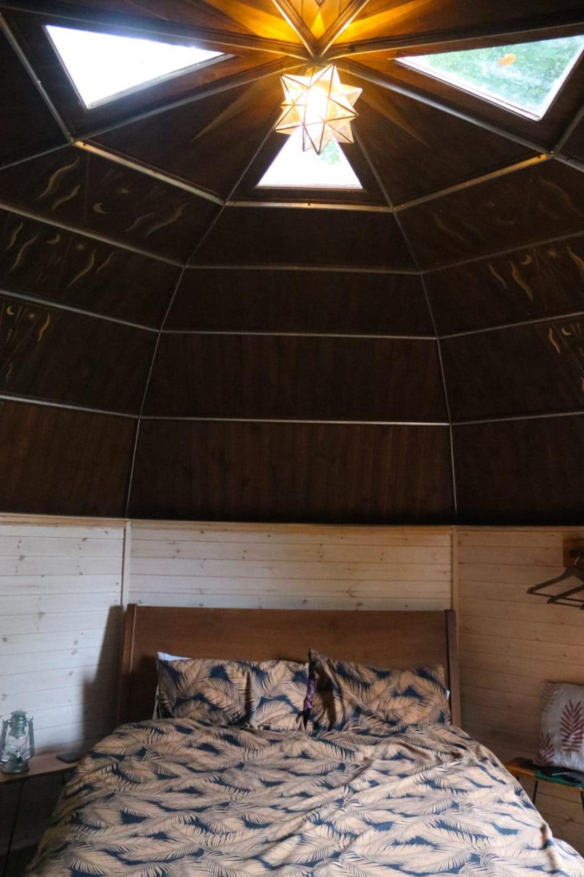Oku Wooden Pod, Newburgh Priory Estate — photo 8