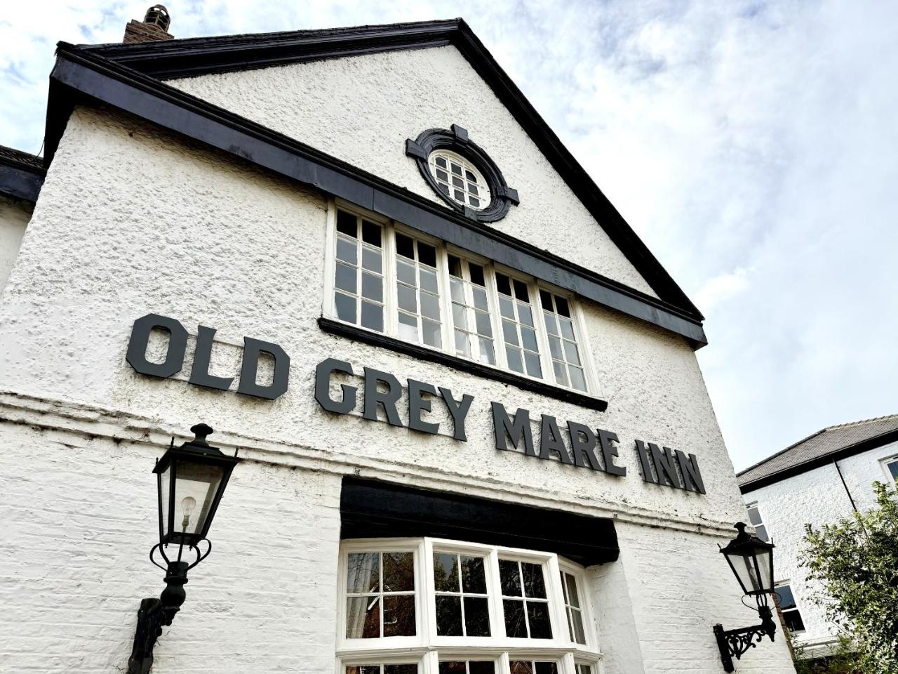 Old Grey Mare — photo 2