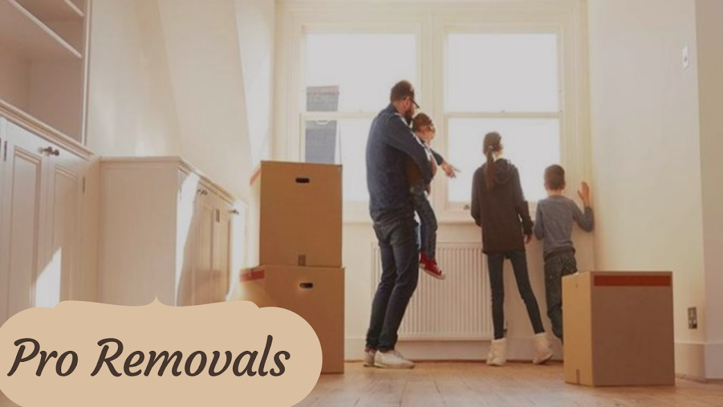 Pro Removals York