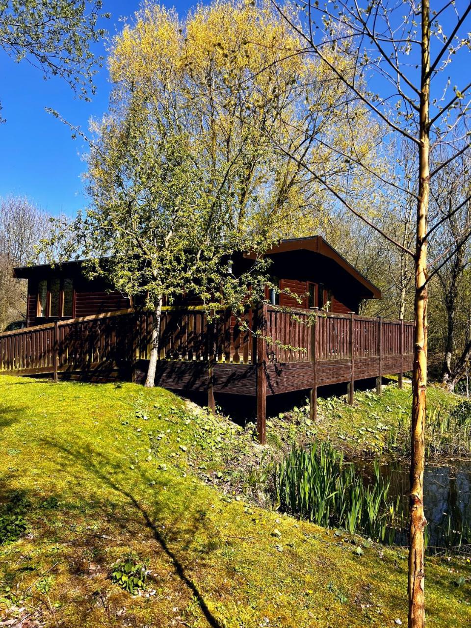 Secluded Rustic Cabin - A Digital Detox Paradise. — photo 2