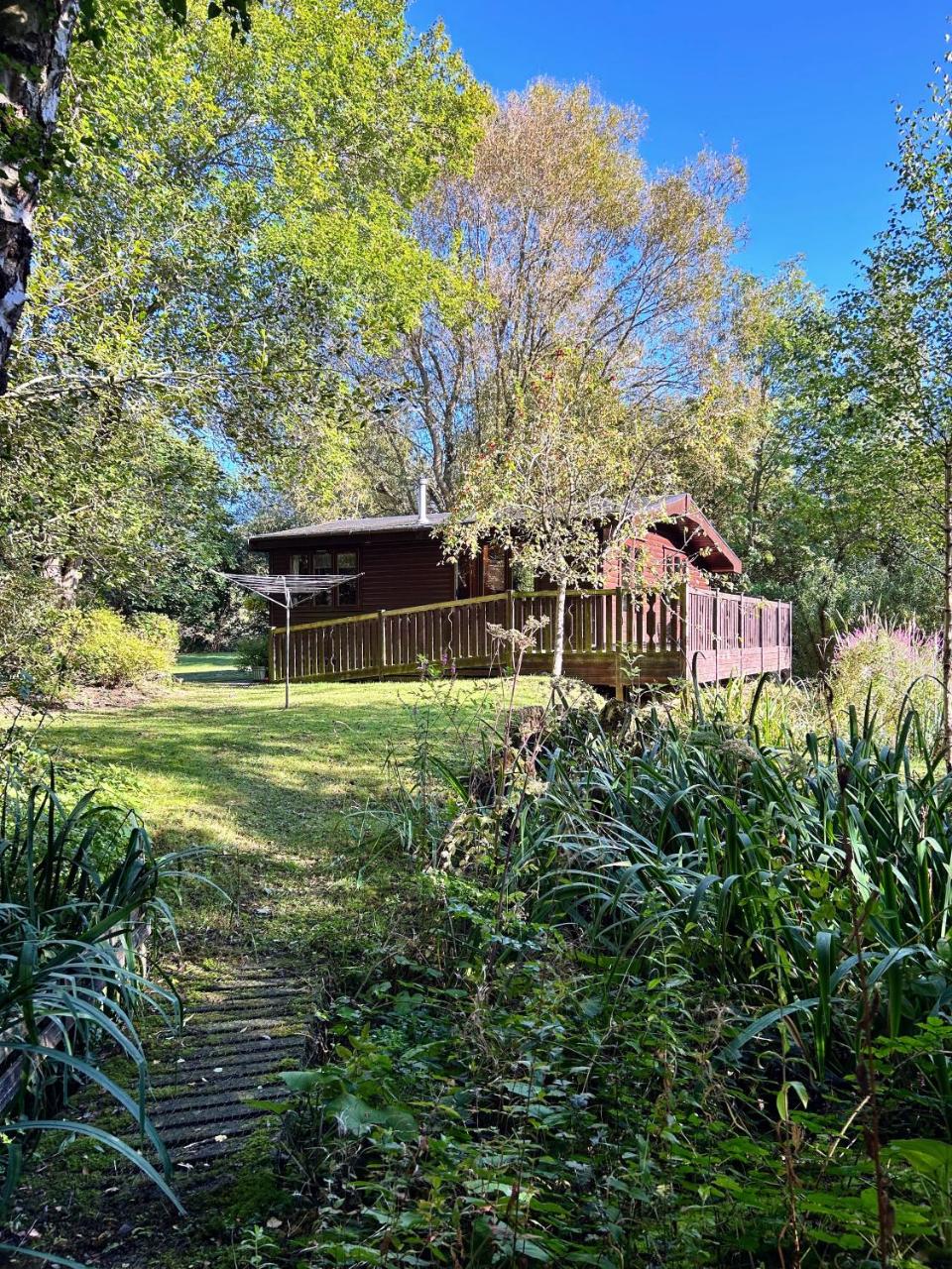 Secluded Rustic Cabin - A Digital Detox Paradise. — photo 7