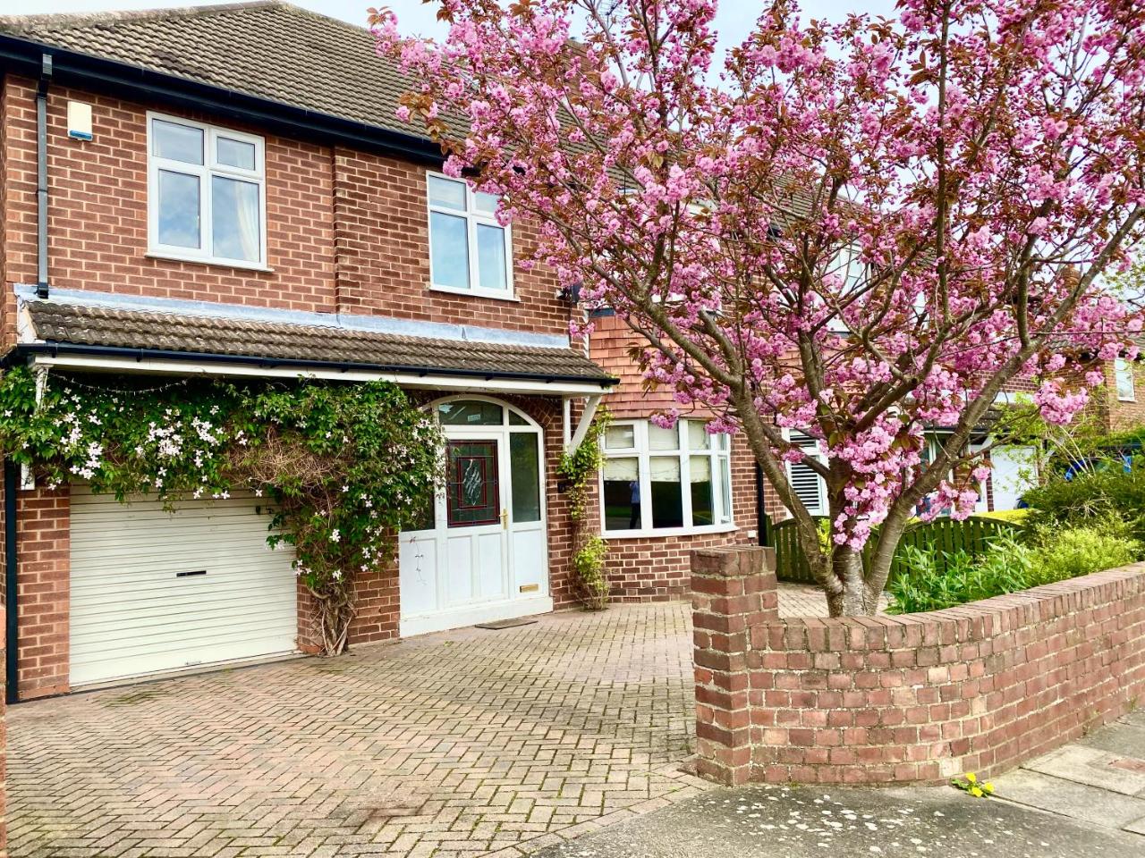 Spacious Five-Bedroom House Close to York Centre - Orchid House — photo 6