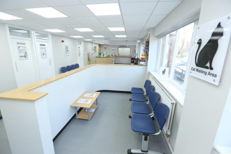 Bright waiting area with blue chairs, a wooden counter, and a sign for the cat waiting area at The Minster Veterinary Practice.