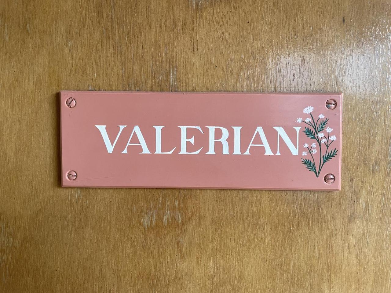 Valerian — photo 2