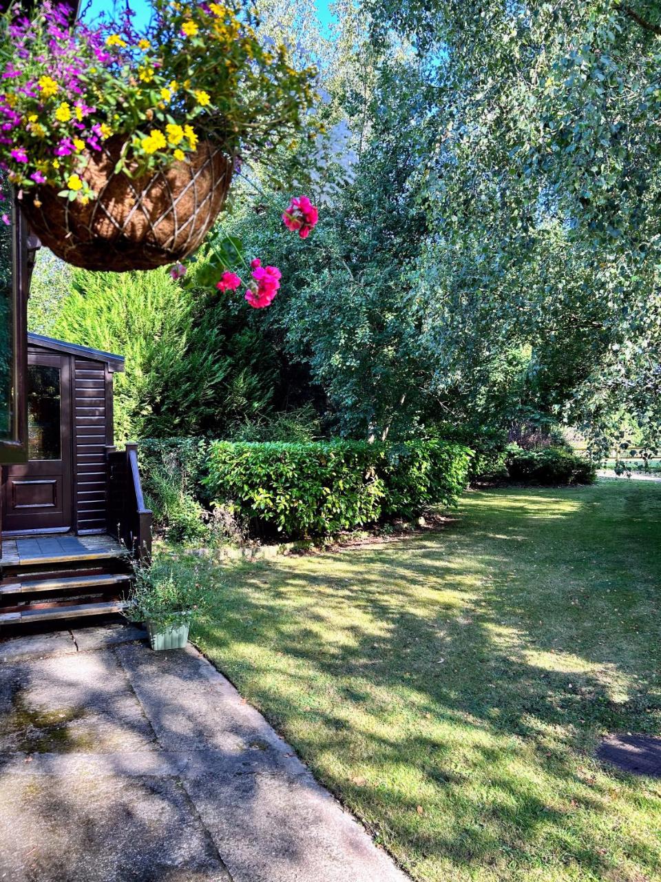 Wigeon Secluded Rustic cabin — photo 4
