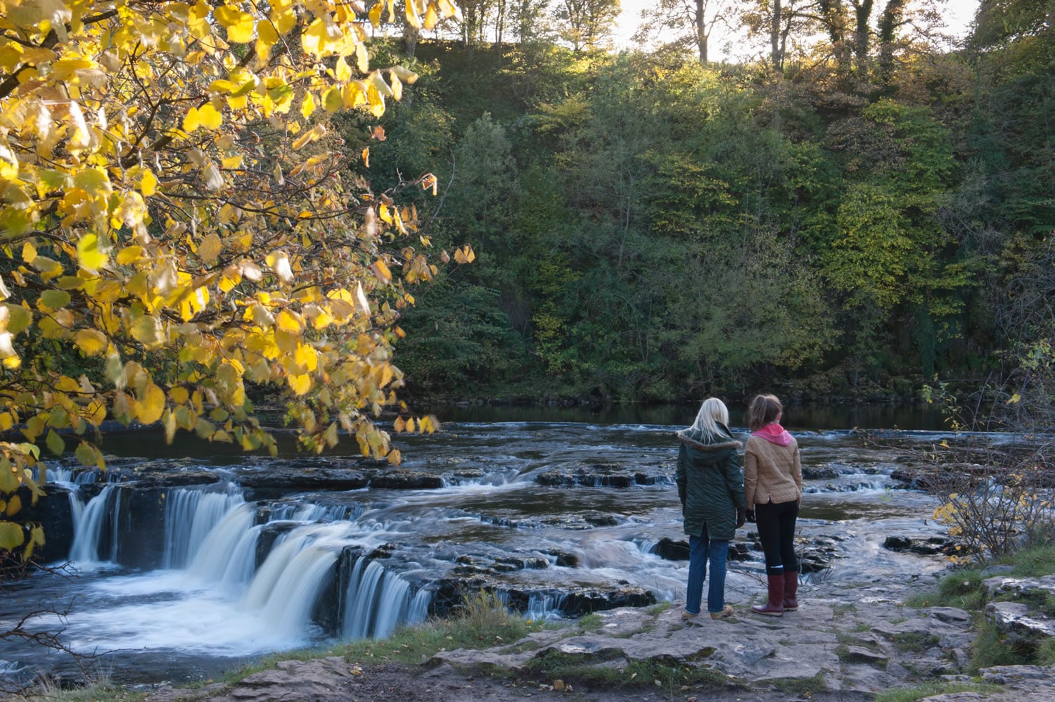 Aysgarth Falls Tourist Information Centre Image 5