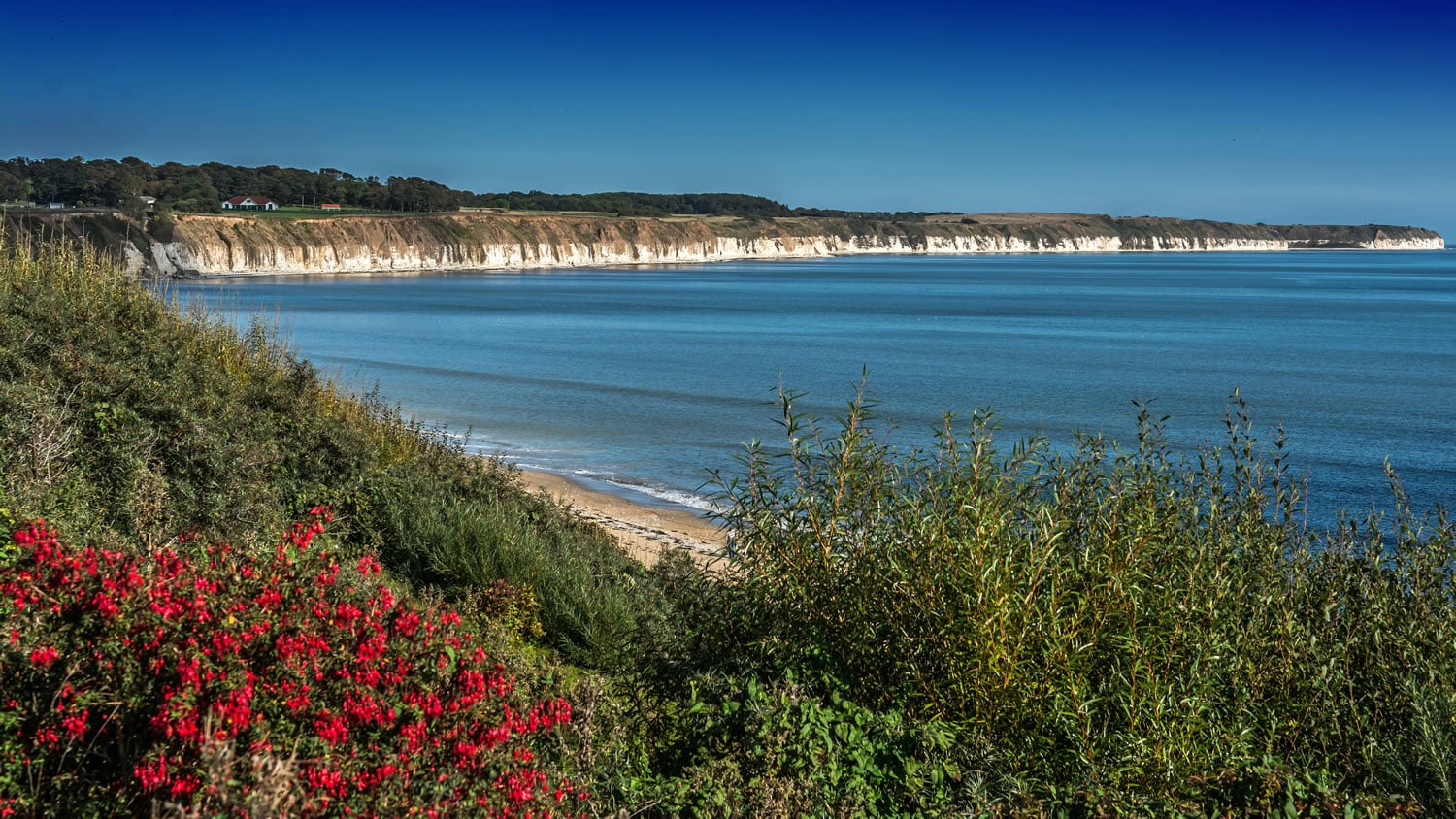 Bridlington Tourist Information Centre Image 4
