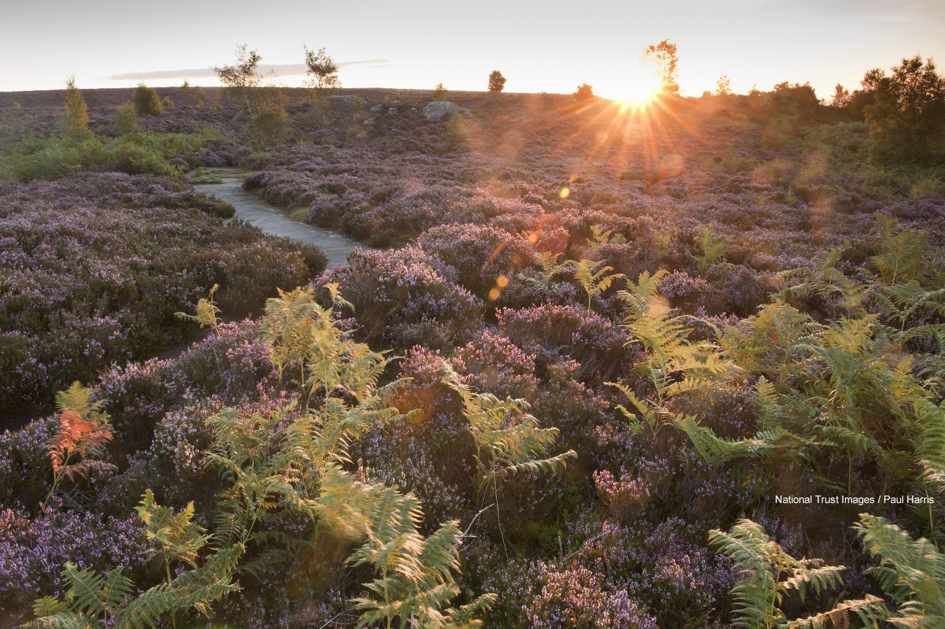 National Trust - Brimham Rocks Image 2