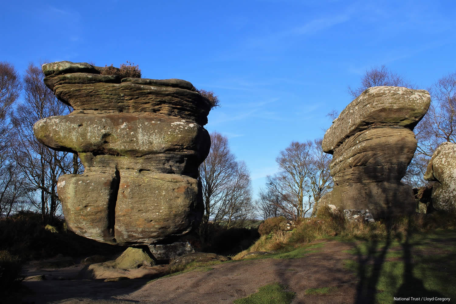 National Trust - Brimham Rocks Image 3