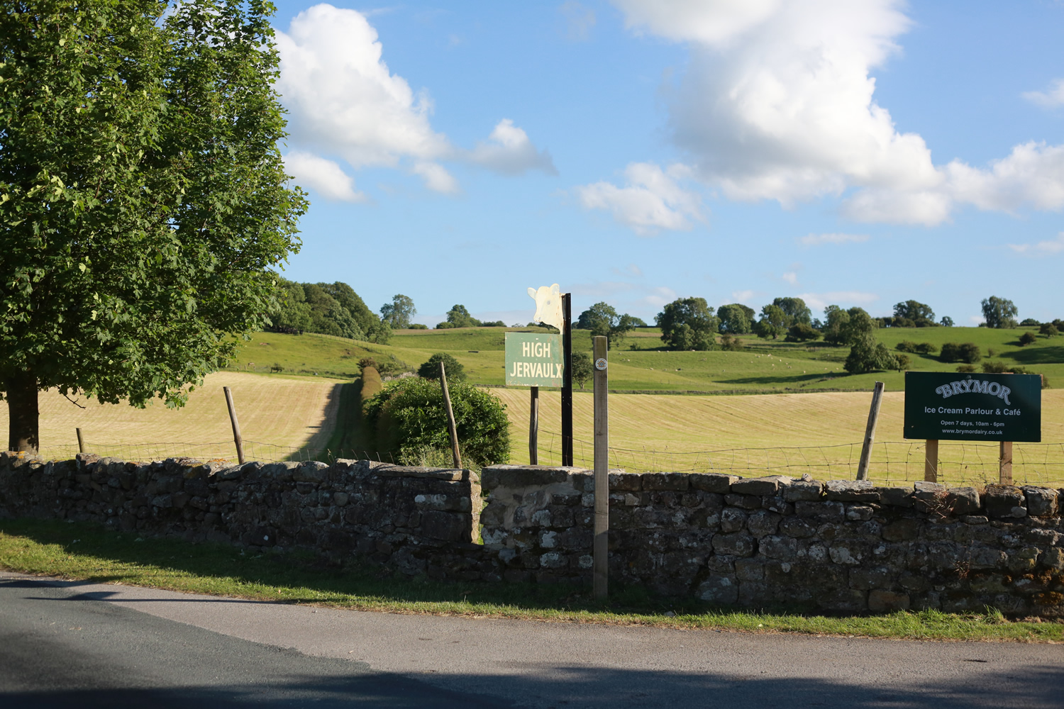 Brymor Ice Cream Parlour - Masham Image 5