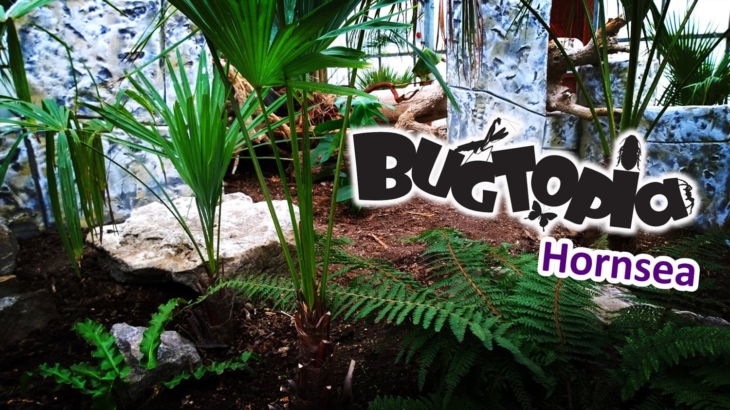 Bugtopia Hornsea Image 4