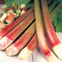 E.Oldroyd & Sons Forced Rhubarb Shed Image 5
