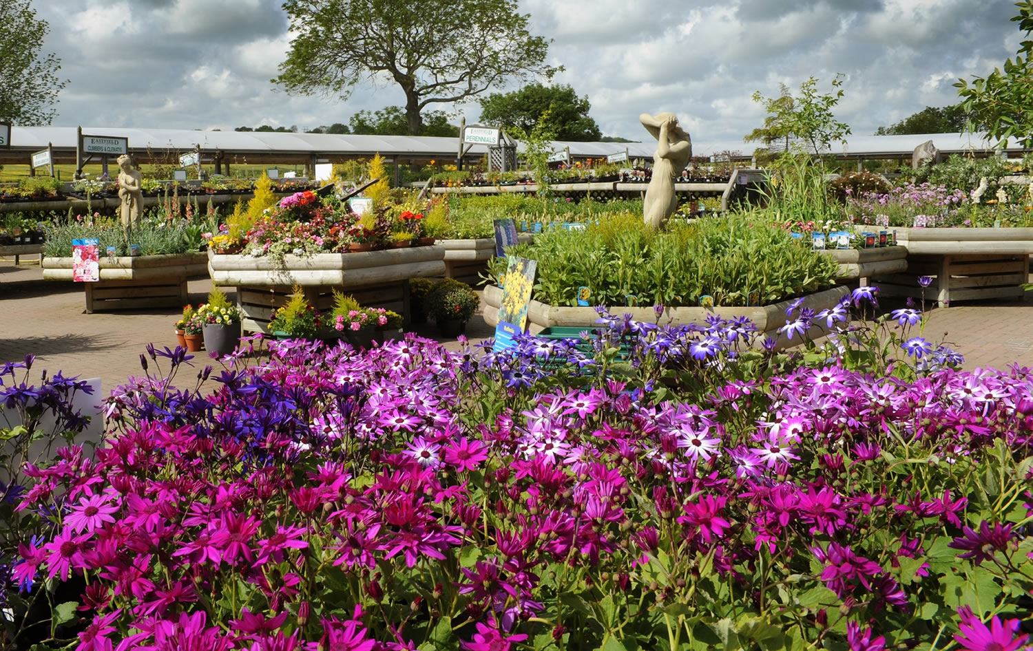 Eastfield Garden Centre - A Gardeners Paradise Bridlington Image 2