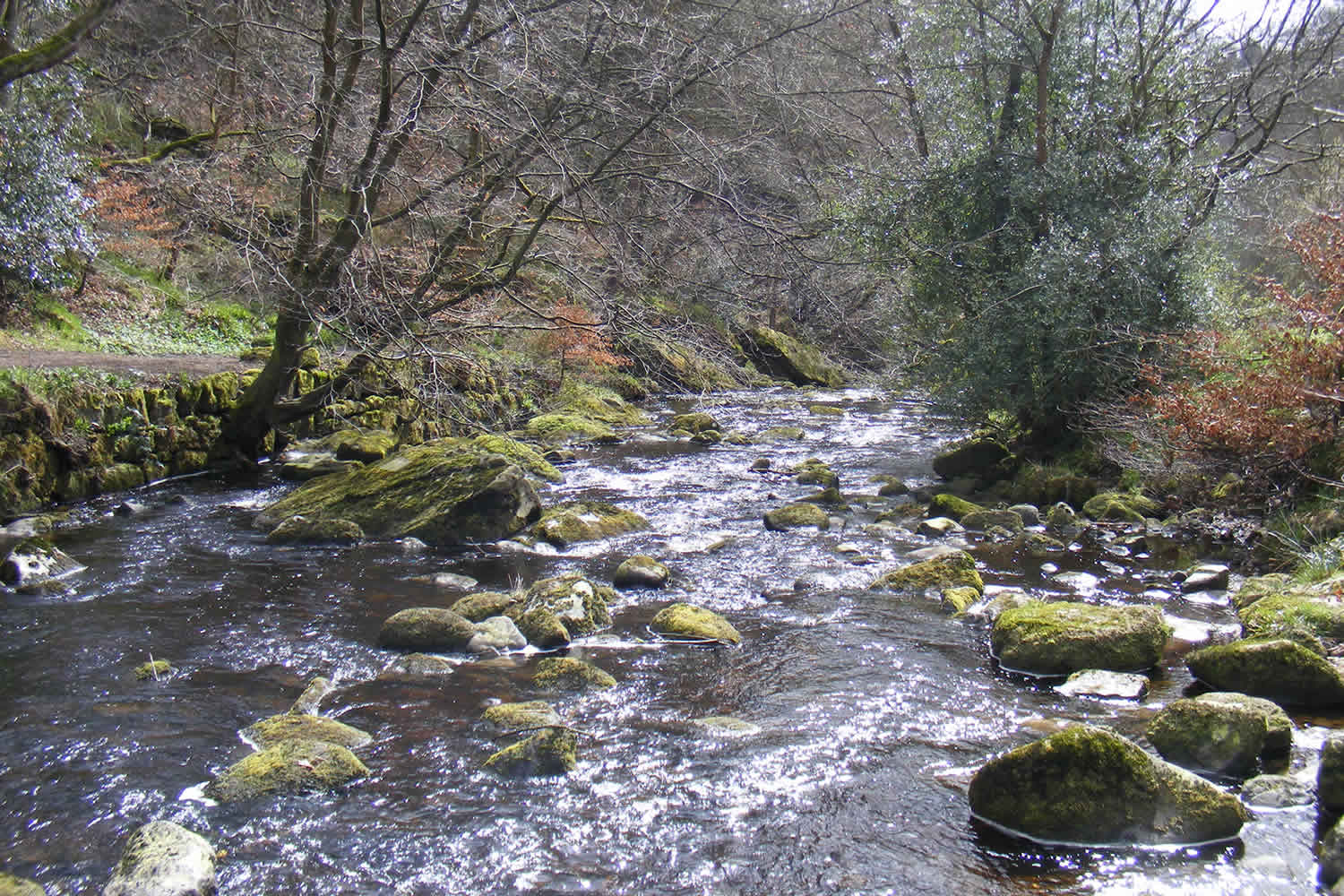 Visit Hardcastle Crags - Prices, Times, Visitor Info Image 2