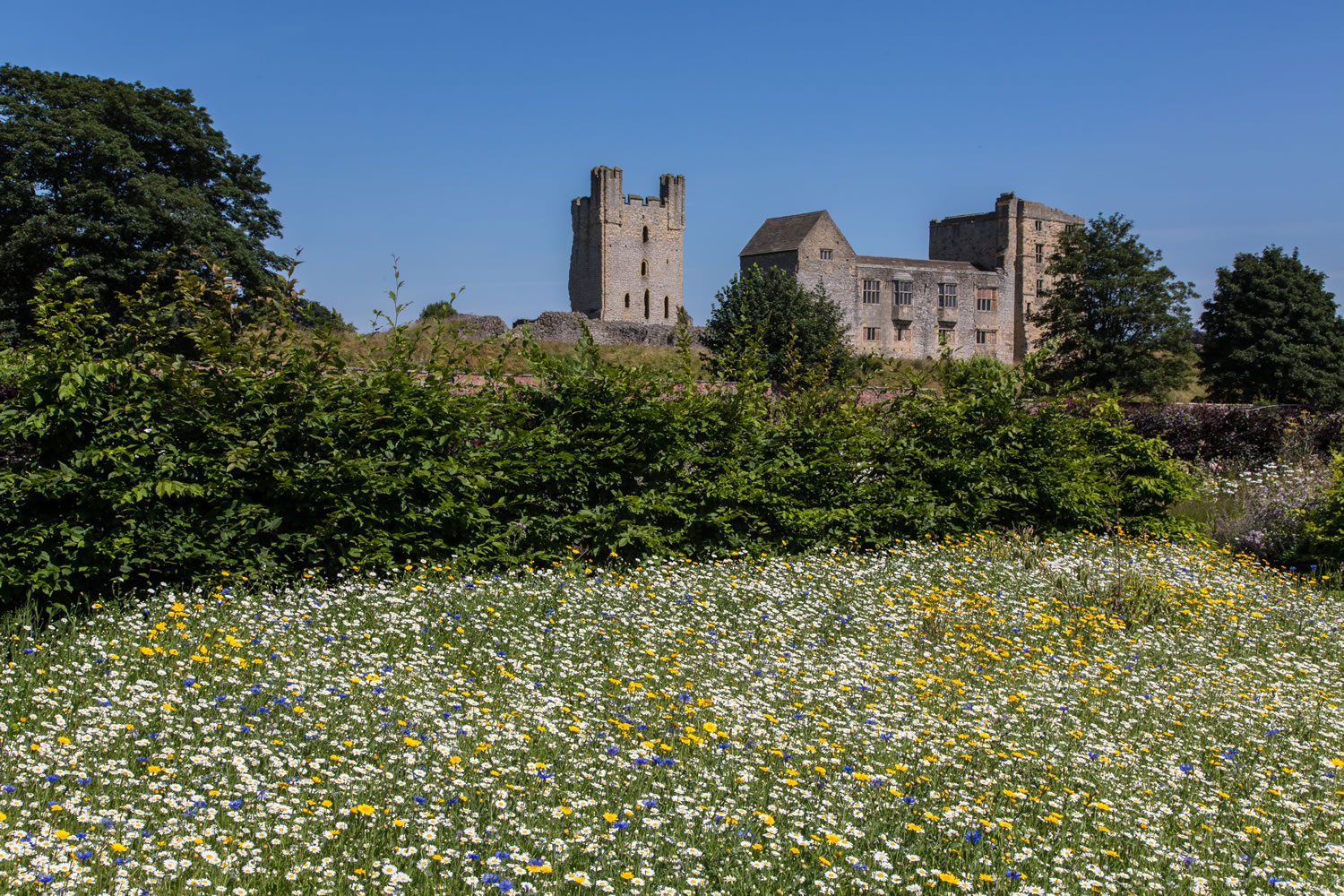 Helmsley Walled Garden - Must Visit For Garden Enthusiasts Image 1