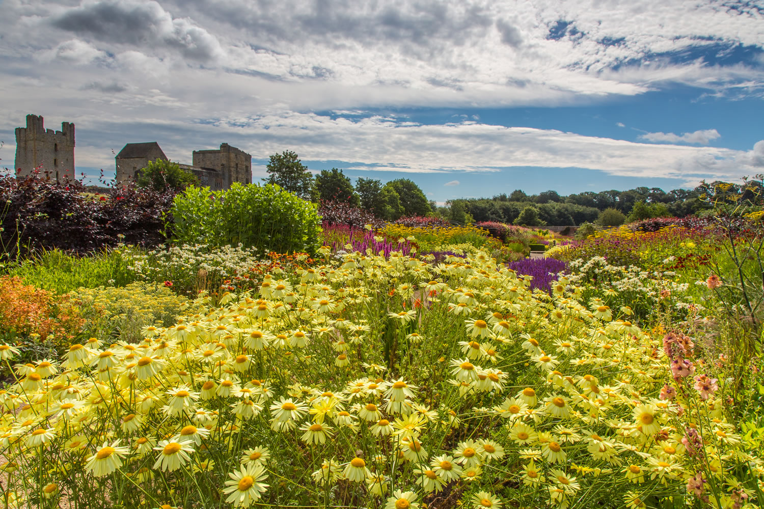 Helmsley Walled Garden - Must Visit For Garden Enthusiasts Image 3
