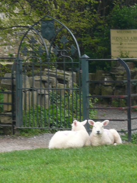 Jervaulx Abbey Image 2