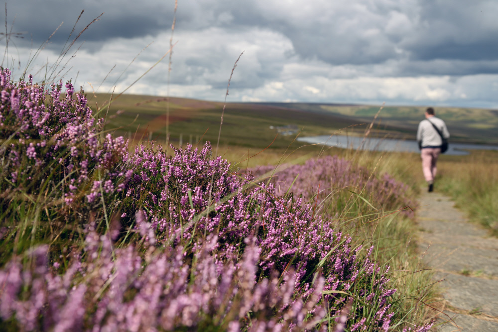 National Trust Marsden Moor Estate Image 3