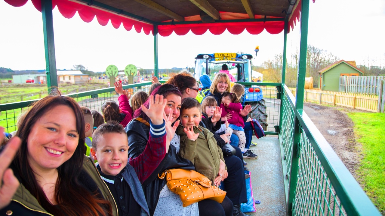 Piglets Adventure Farm Park - Family Fun In York Image 1