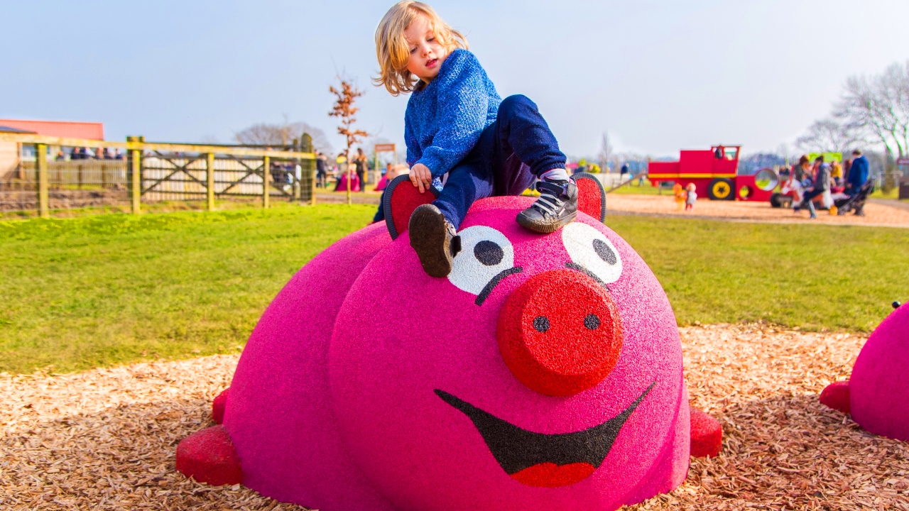 Piglets Adventure Farm Park - Family Fun In York Image 2