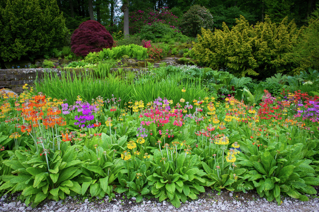 RHS Garden Harlow Carr: A Visitor's Guide to Yorkshire's Horticultural Jewel Image 1