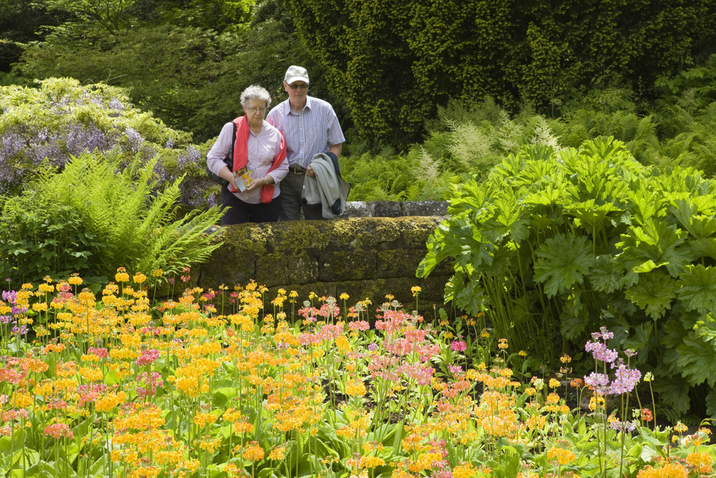 RHS Garden Harlow Carr: A Visitor's Guide to Yorkshire's Horticultural Jewel Image 2