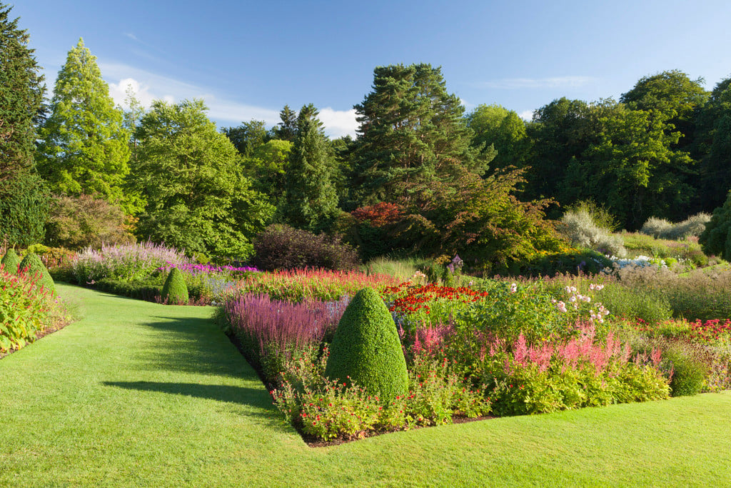 RHS Garden Harlow Carr: A Visitor's Guide to Yorkshire's Horticultural Jewel Image 3