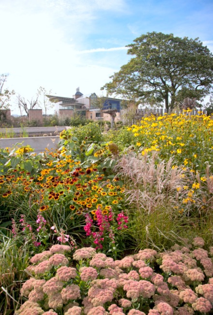 Visit RSPB Saltholme Nature Reserve Image 3
