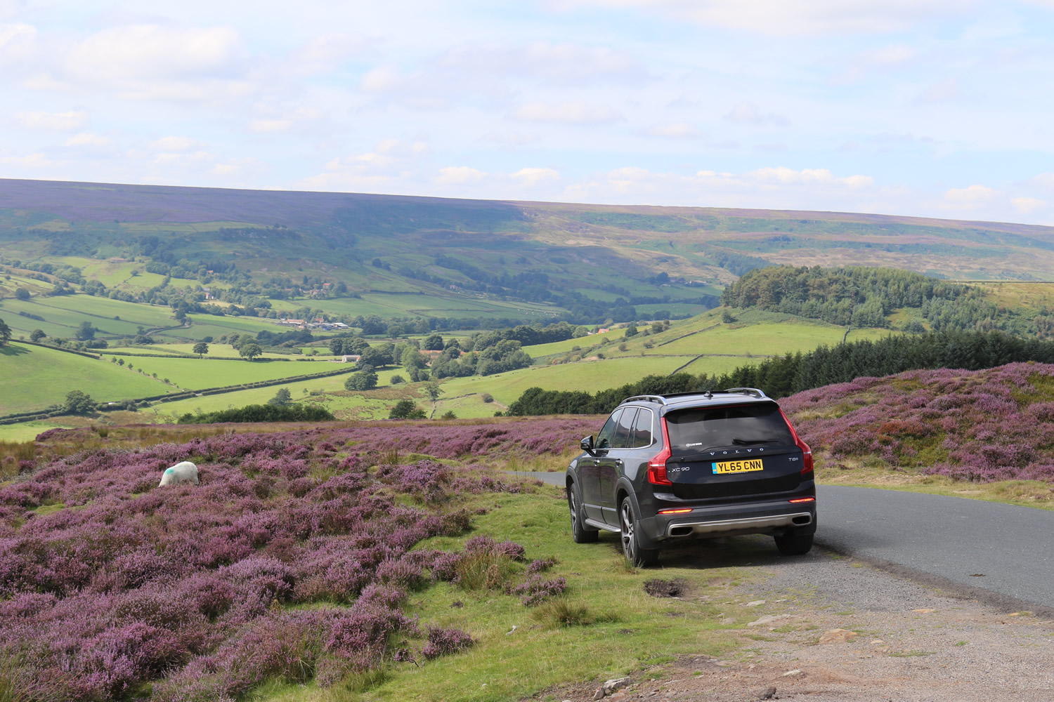 Real Yorkshire Tours Image 1