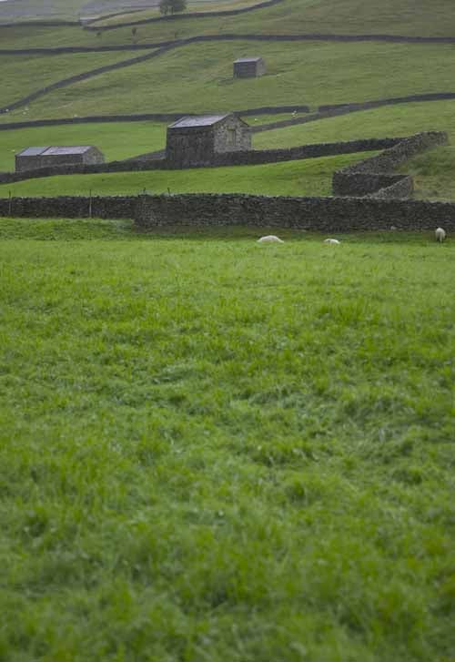 Reeth Tourist Information Centre Image 1
