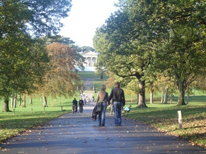 Roundhay Park Image 2