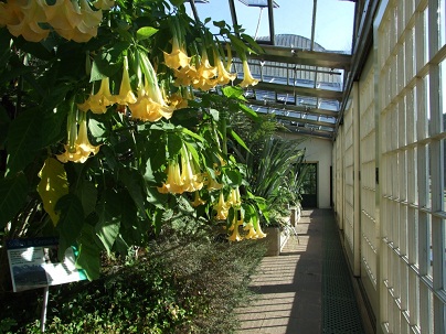 Sheffield Botanical Gardens Image 5