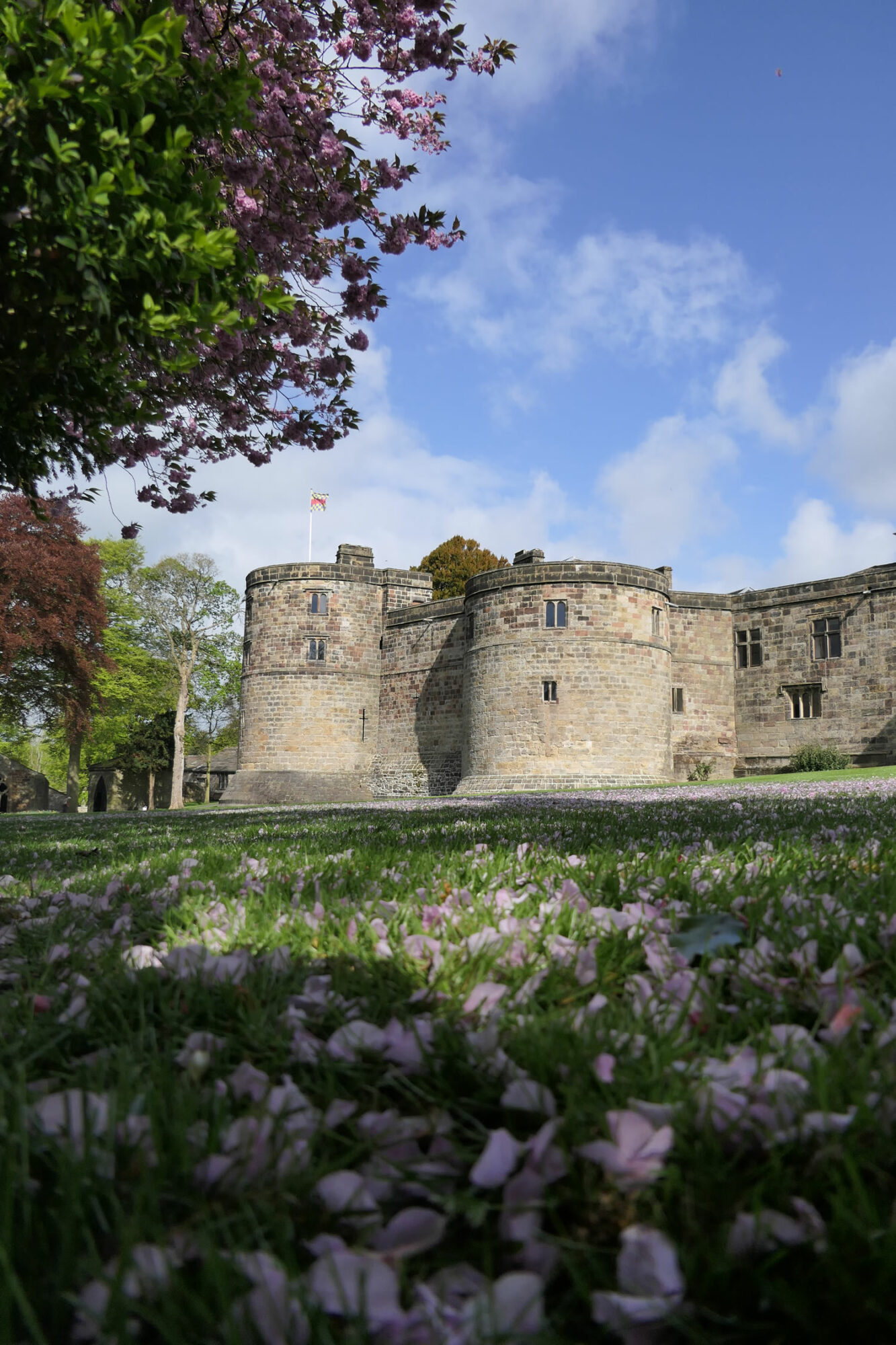 Skipton Castle Image 3
