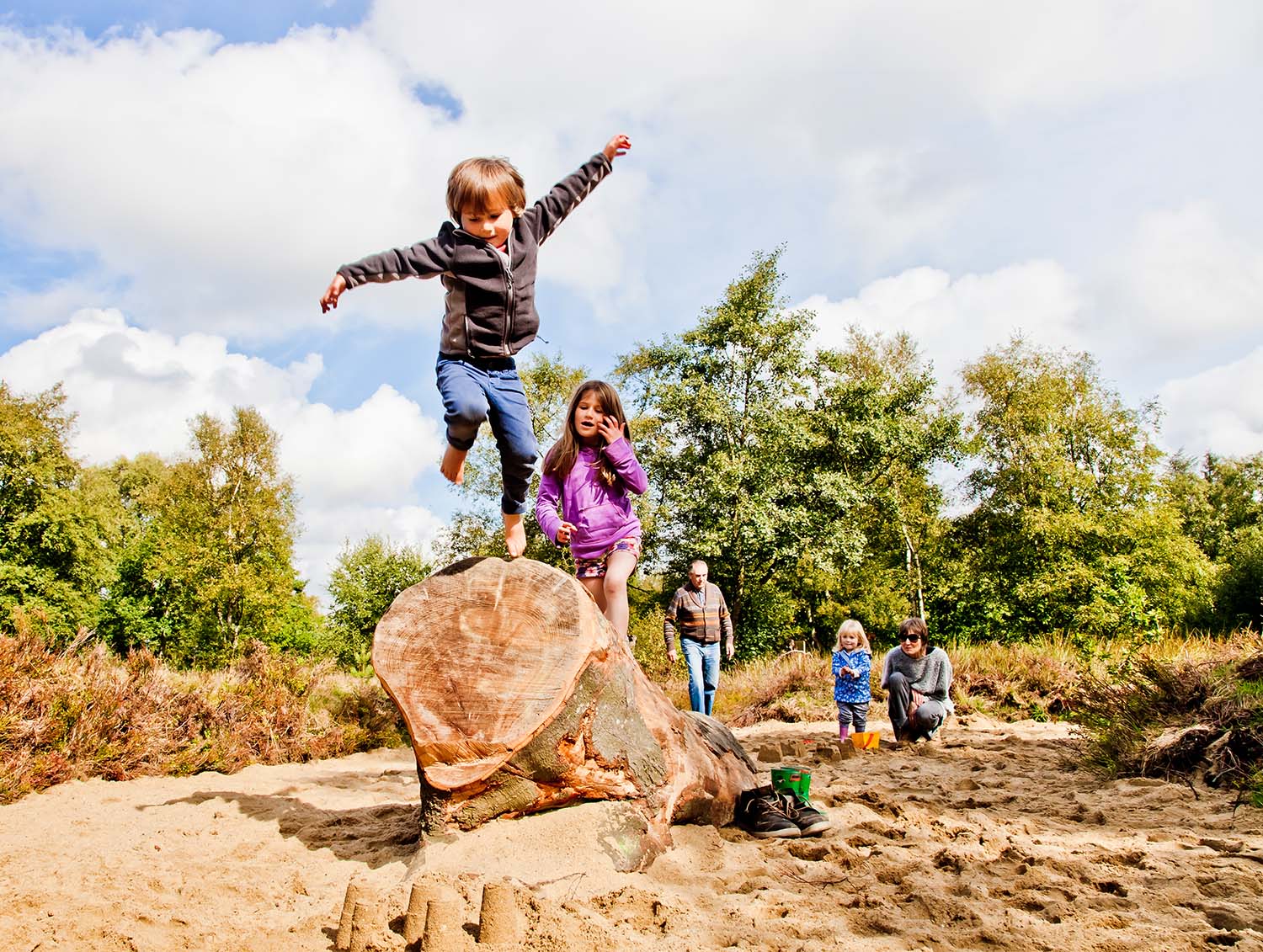 Sutton Bank National Park Centre Image 1