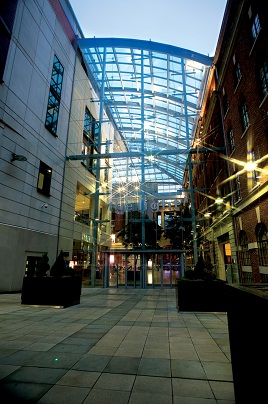 The Light Image 6