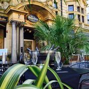 The New Conservatory Image 1