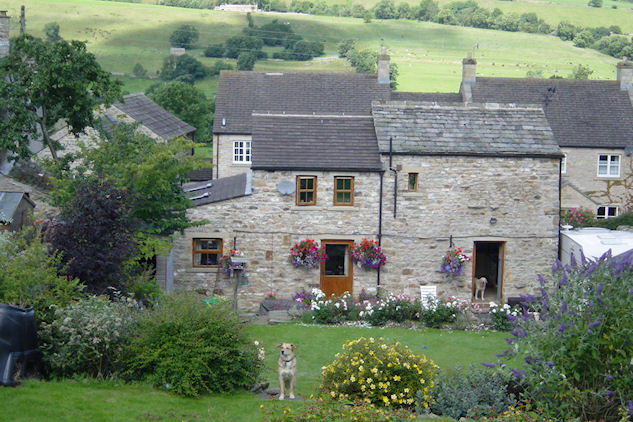 The Stable Image 5