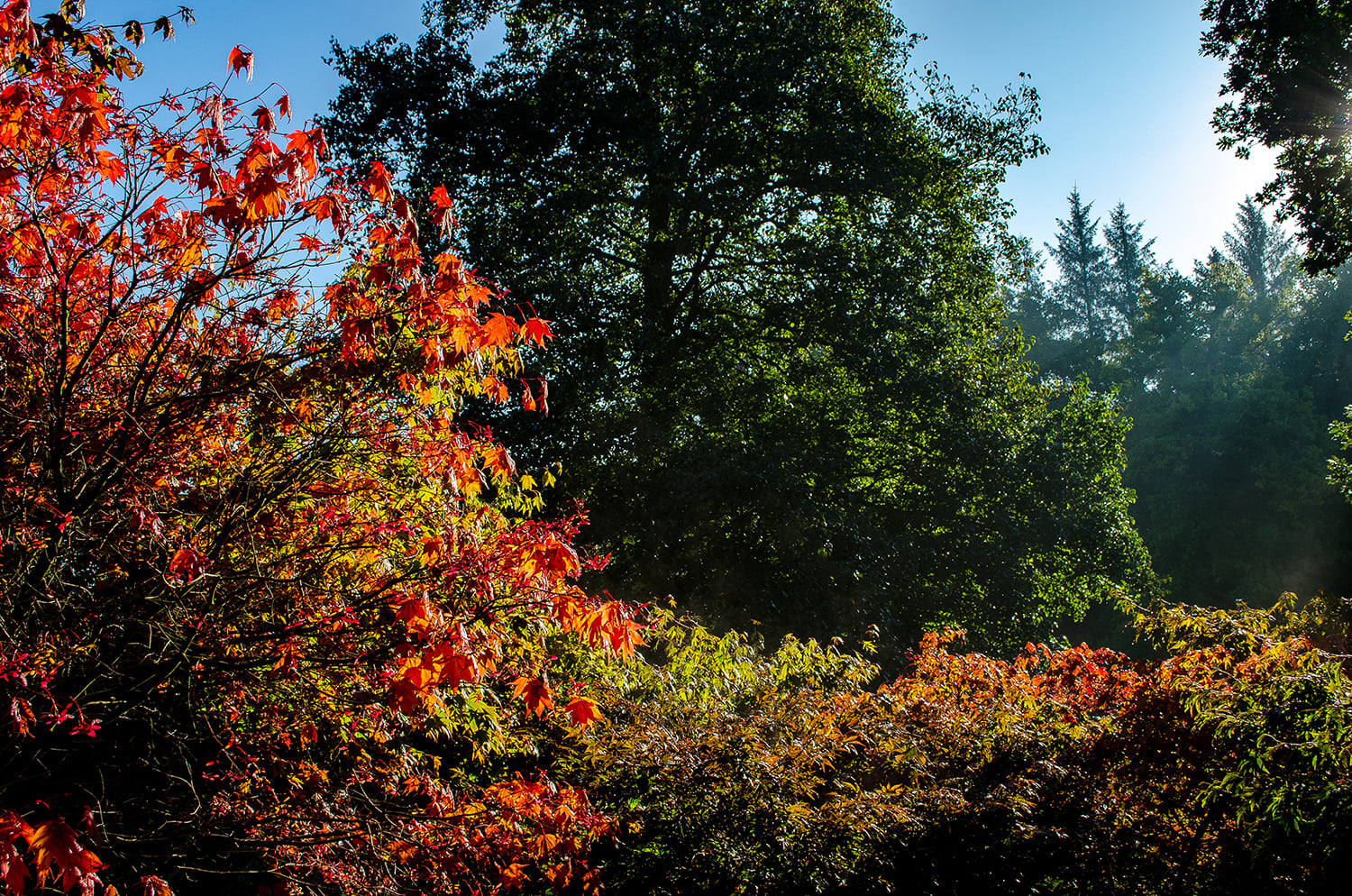 Visit The Yorkshire Arboretum Image 4