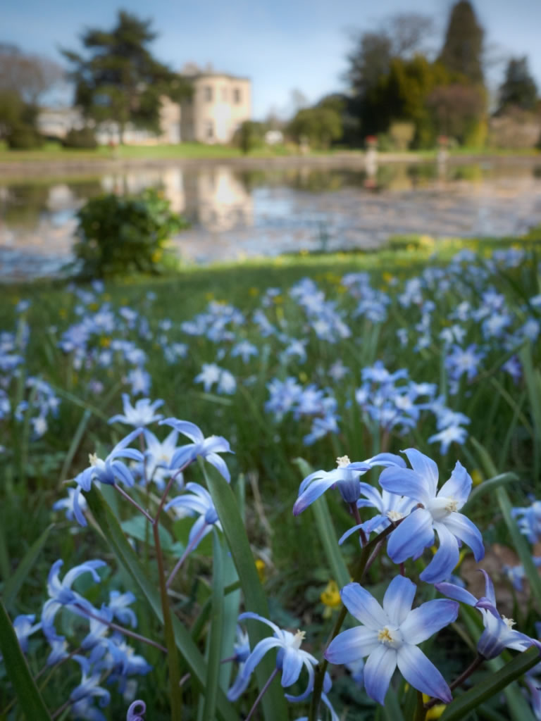 Thorp Perrow Arboretum Image 2