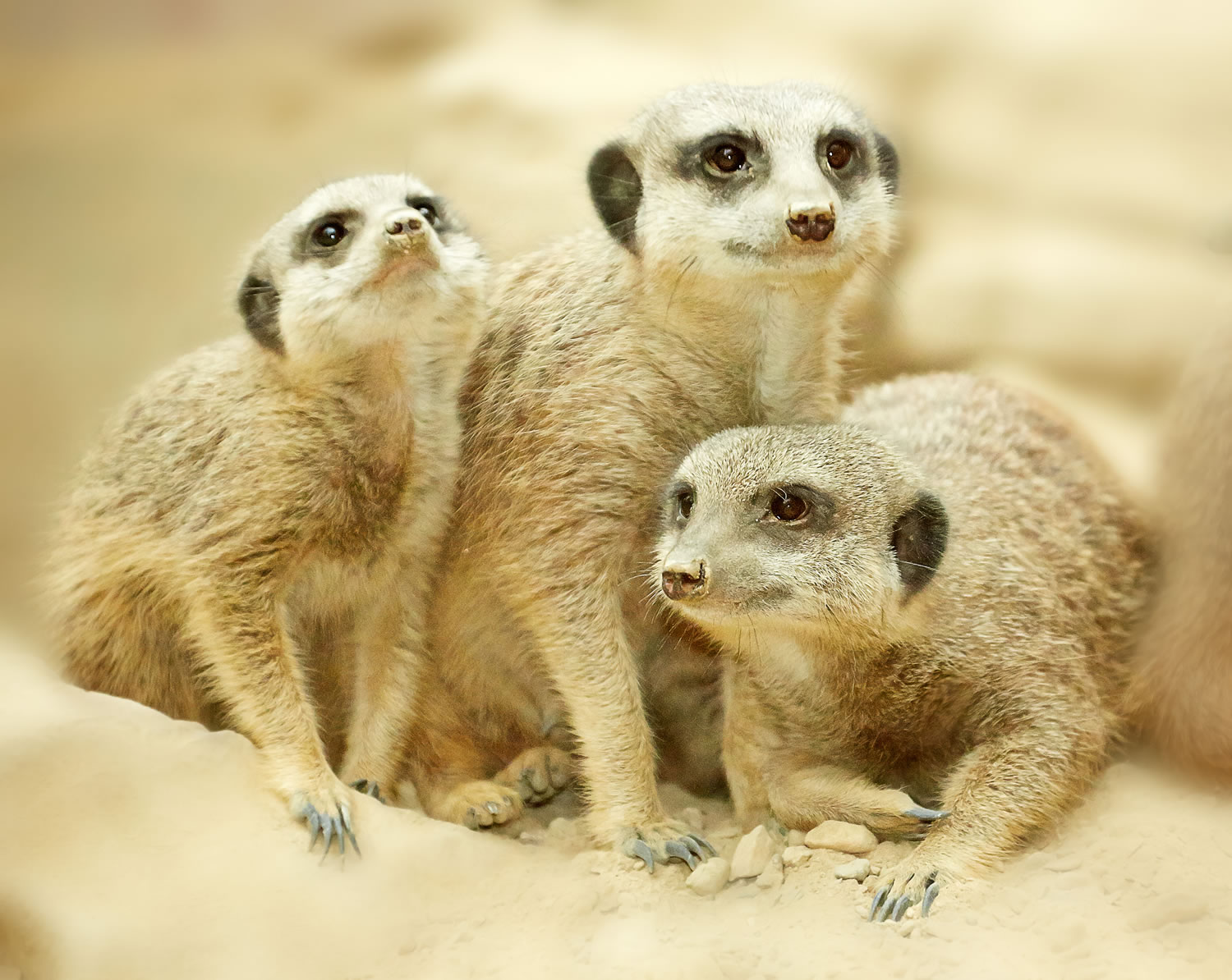 Tropical World at Roundhay Park Image 2
