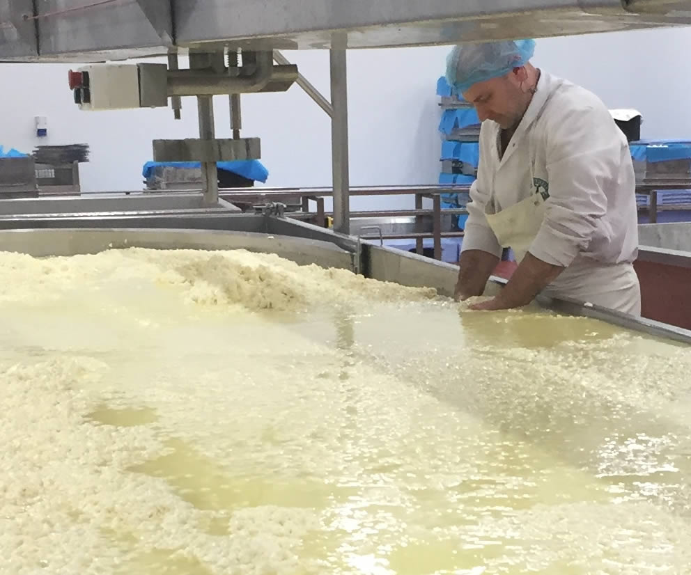 Wensleydale Creamery Image 3