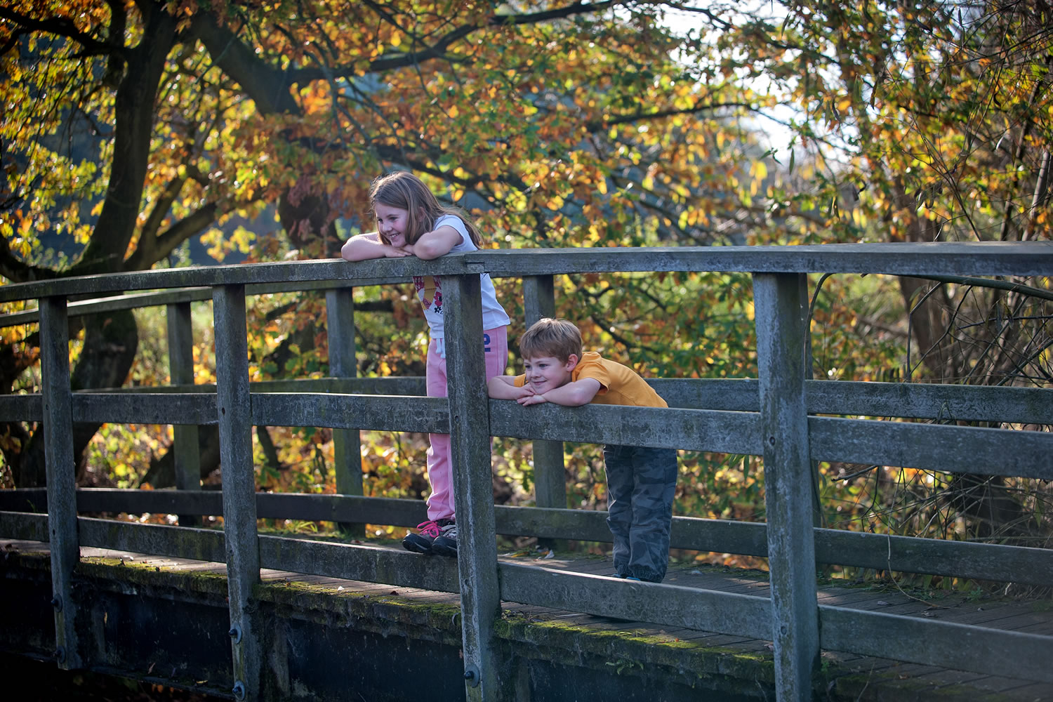 Worsbrough Mill Museum and Country Park Image 3