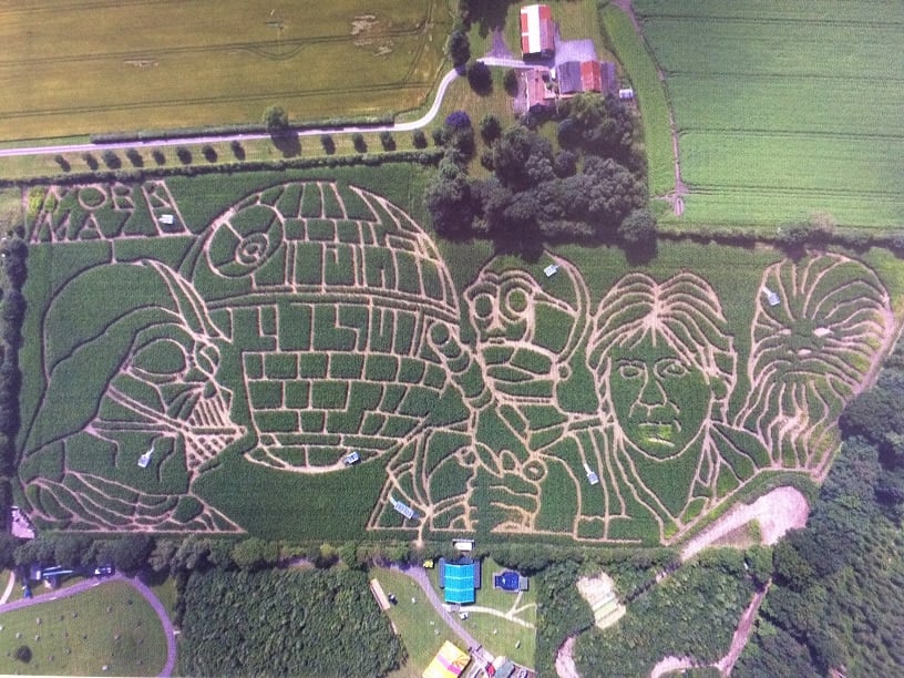 York Maze - Visitor Guide &amp; Prices Image 3