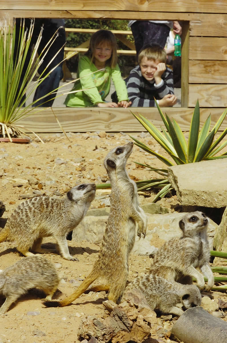 Visit Yorkshire Wildlife Park In Doncaster Image 8