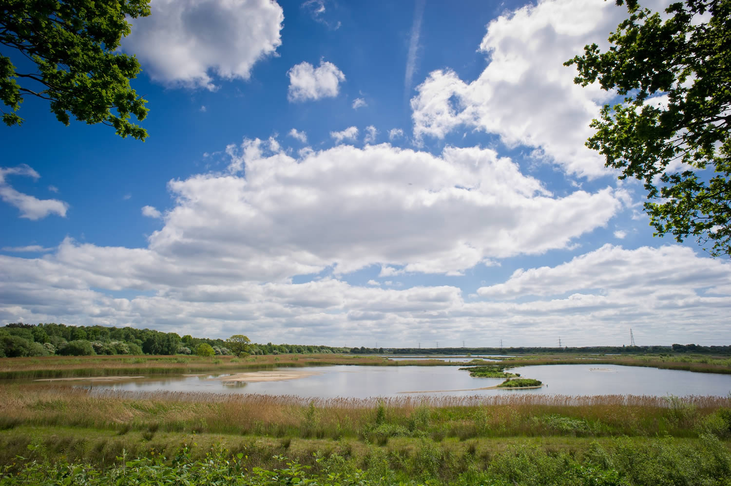 Yorkshire Wildlife Trust Image 1