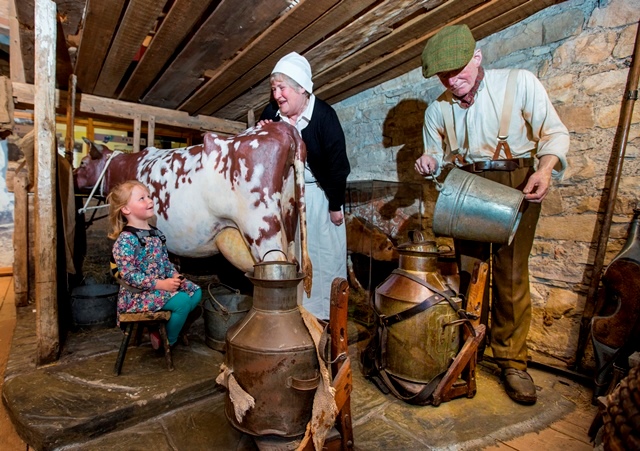 Dales Countryside Museum Image 3