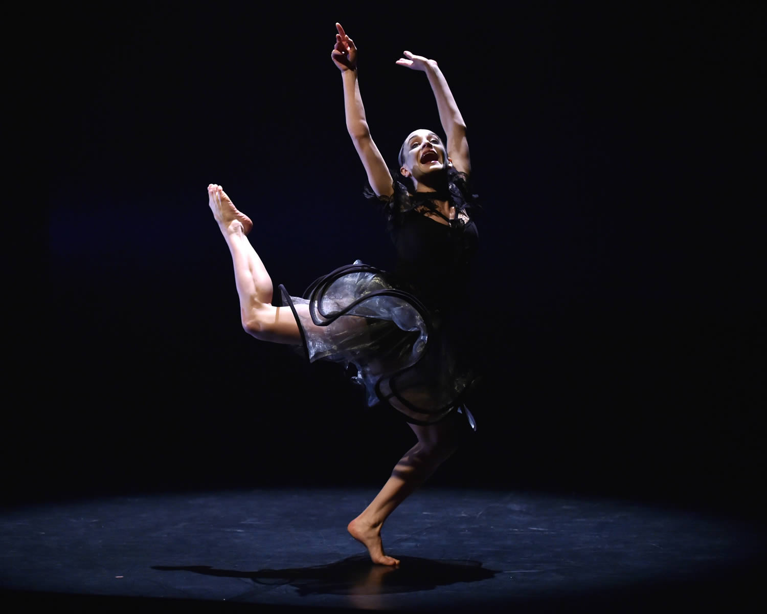 Phoenix Dance Theatre Image 7