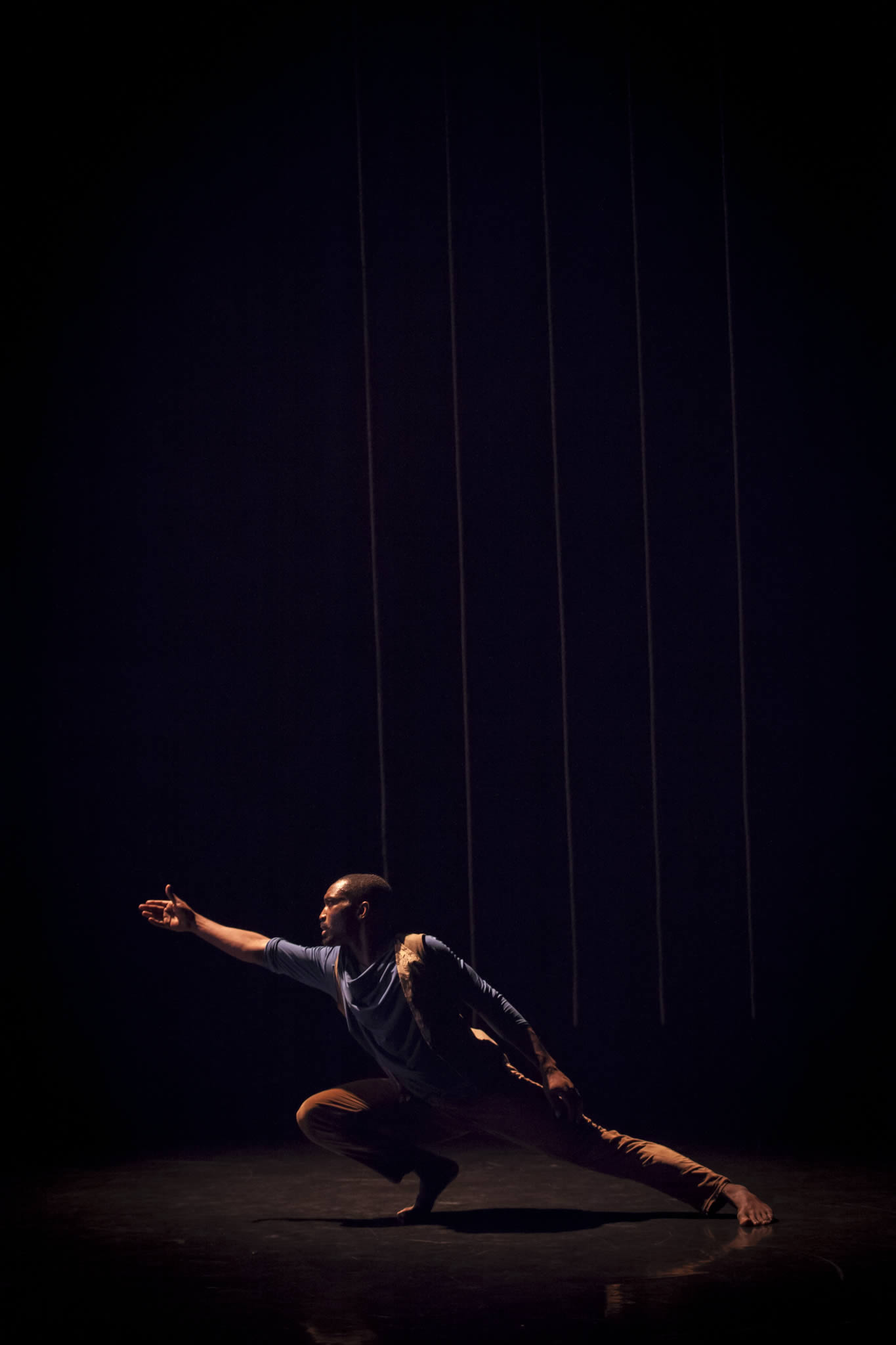 Phoenix Dance Theatre Image 6